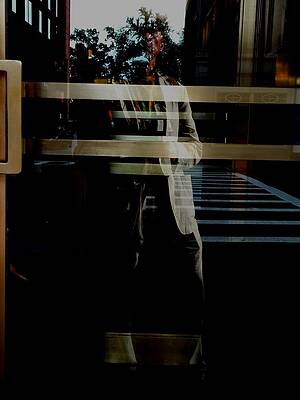Wall Art - Photograph - Fade to Green by Vincent Green