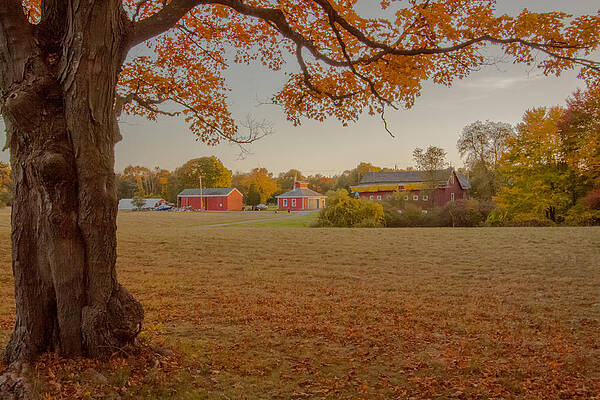 Wall Art - Photograph - Fall at the Farm by Brian MacLean
