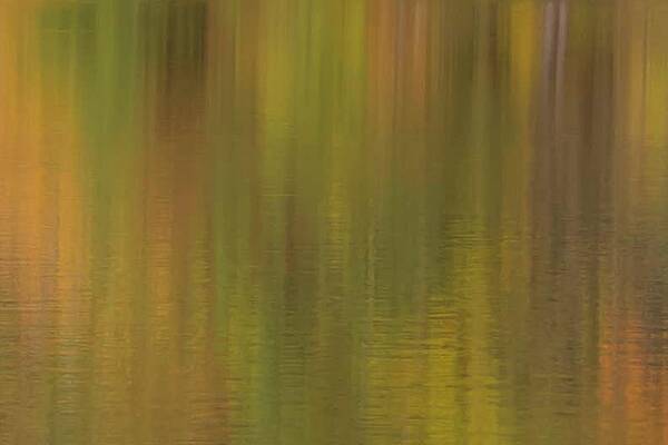 Wall Art - Photograph - Fall Color Reflection by Paul Schultz