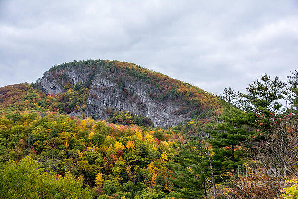 Fall Lookout by Darla Bruno