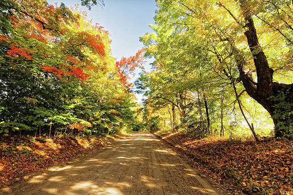 Fall Roads by Lars Lentz Fall Roads by Lars Lentz