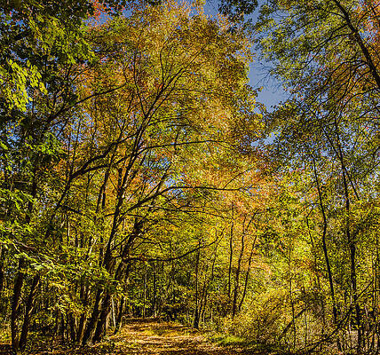 Wall Art - Photograph - Fall's approach by SAURAVphoto Online Store