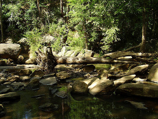Wall Art - Photograph - Falls Park by Flavia Westerwelle