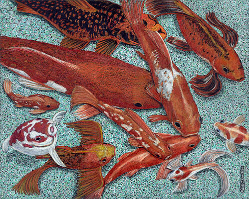 Fancy Fish by Nicole I Hamilton Fancy Fish by Nicole I Hamilton