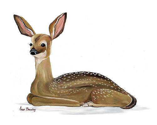Fawn with no Background by Anne Beverley-Stamps Fawn with no Background by Anne Beverley-Stamps