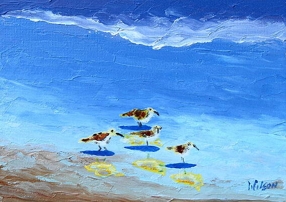 Feathered Friends by Chrys Wilson Feathered Friends by Chrys Wilson