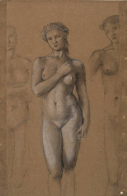 Female Nude. Three Studies possibly for Venus Print by Edward Burne-Jones