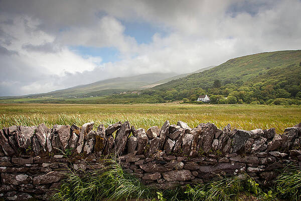 Wall Art - Photograph - Fermoyle Stone Wall by Mark Callanan