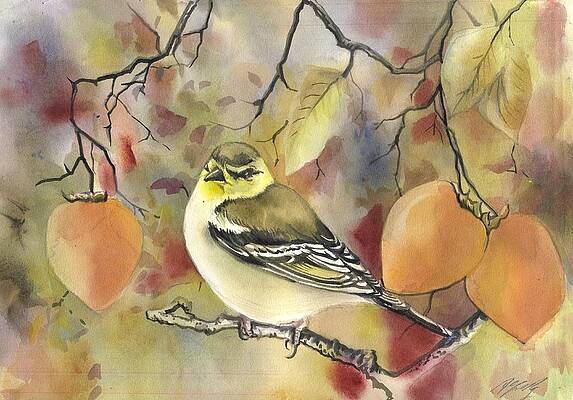 Wall Art - Painting - Finch With Persimmon by Alfred Ng
