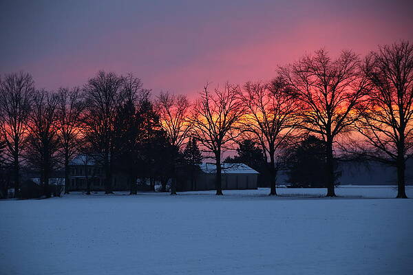 Fire In The Sky by David Perrine