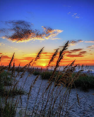 First Light by Steve Hurt First Light by Steve Hurt