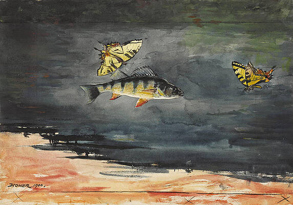 Fish and Butterflies Print by Winslow Homer