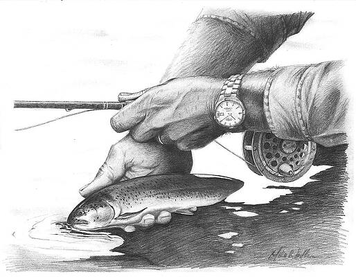 Lessons in Pencil Fish in Cartoon  Creating a Masterpiece