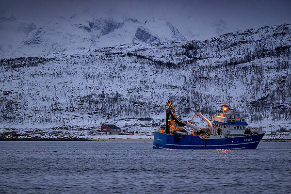 Wall Art - Photograph - Fishing in Tromso by Mark Llewellyn