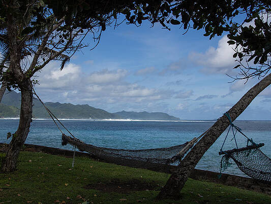 Fishing Net Hammocks by Brenda Smith DVM Fishing Net Hammocks by Brenda Smith DVM