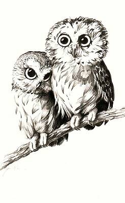 Wall Art - Drawing - First Love by James H Park