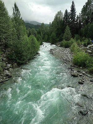 Wall Art - Photograph - Fitzsimmons Creek by David T Wilkinson
