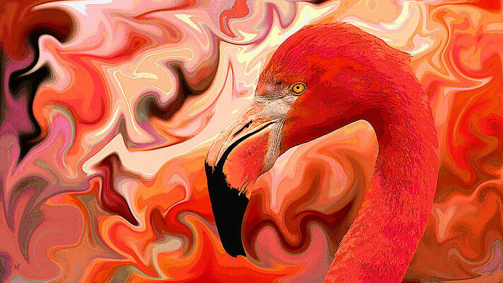 Flamingoed an Abstract in Pink by Shelli Fitzpatrick Flamingoed an Abstract in Pink by Shelli Fitzpatrick