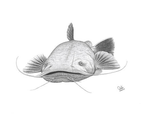 picture Simple Drawing Of Fish Pond fish pond drawings fine art america