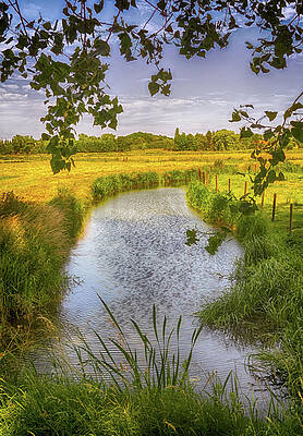 Flemish Creek by Wim Lanclus Flemish Creek by Wim Lanclus