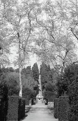  Photograph - Florence Moods, 8645, Iv/2013 by Michaela Sieberova