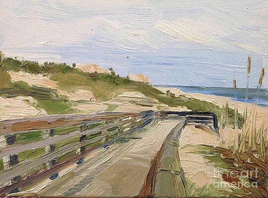 Florida Dunes by Oana Godeanu Florida Dunes by Oana Godeanu