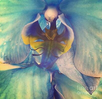 Flower by Maria Lopez