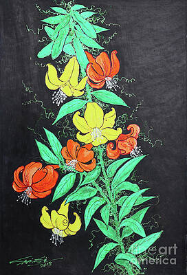 Flowers_06 by Sein Gyi