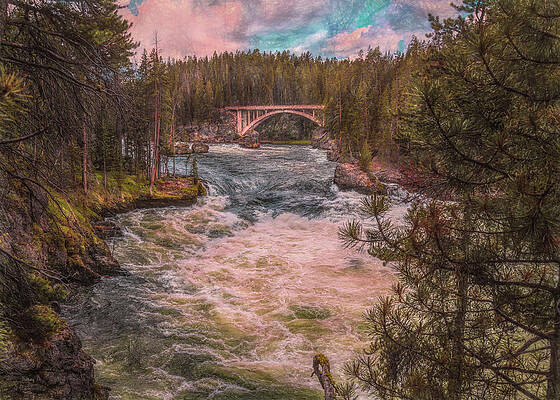 Flowing Free by John M Bailey Flowing Free by John M Bailey
