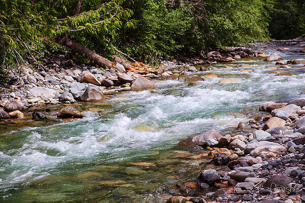 Wall Art featuring the photograph Flowing Mountain Rivers Landscape Art By Omashte by Omaste Witkowski