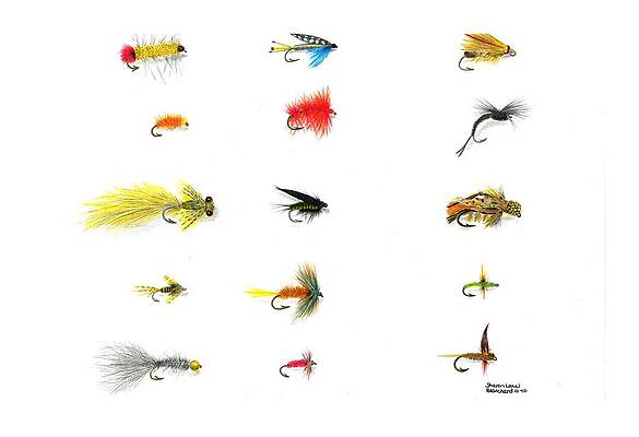 Fly Fishing Drawings for Sale (Page #2 of 6) - Fine Art America
