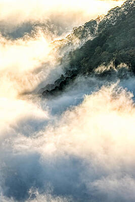 Foggy Morning by Jimmy Chiu