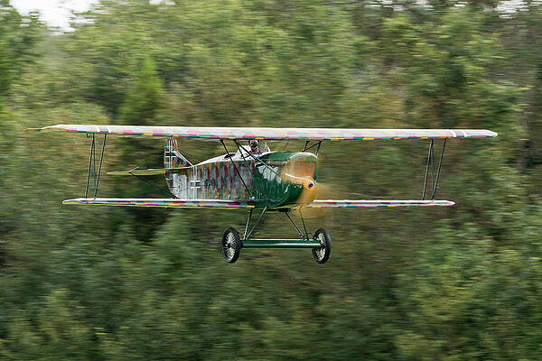 Fokker C.I Flyby by Liza Eckardt Fokker C.I Flyby by Liza Eckardt