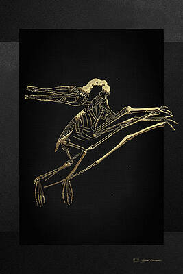 Wall Art - Digital Art - Fossil Record - Gold Pterodactyl Fossil on Black Canvas #2 by Serge Averbukh