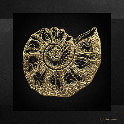 Wall Art - Digital Art - Fossil Record - Golden Ammonite Fossil on Square Black Canvas #4 by Serge Averbukh