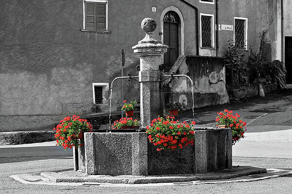 Wall Art - Photograph - Fountain by Alberto Audisio