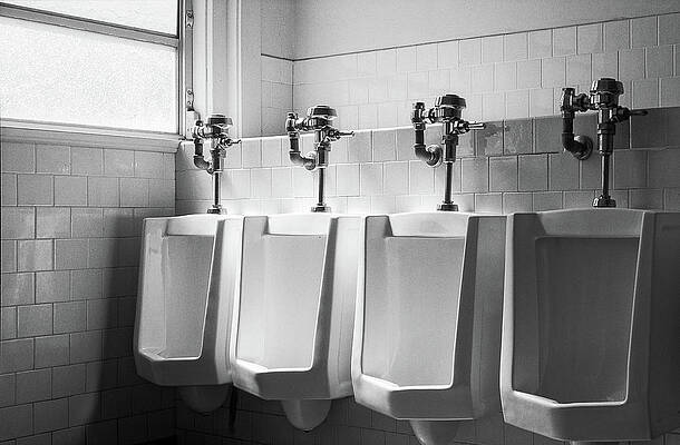 photography; toilet art; public washrooms