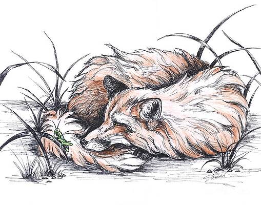 Fox and Grasshopper by Sharon Molinaro Fox and Grasshopper by Sharon Molinaro