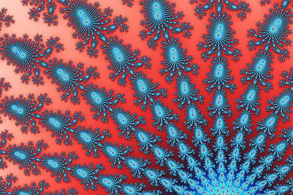 Wall Art - Digital Art - Fractal Starburst by Daniel George