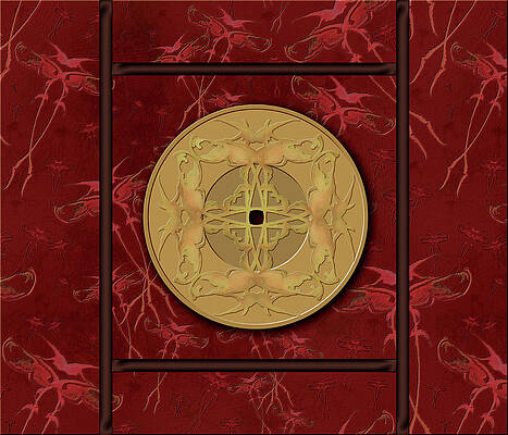 Framed Zenfly Bi Coin by Kristin Doner Framed Zenfly Bi Coin by Kristin Doner
