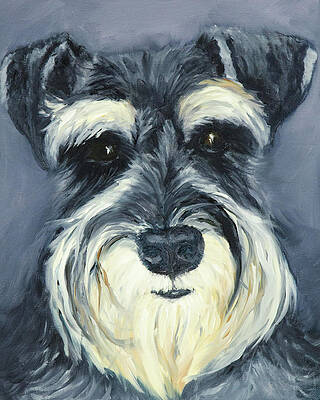 Franklin by Vicki VanDeBerghe Franklin by Vicki VanDeBerghe