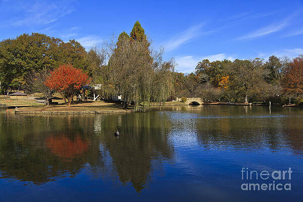Wall Art - Photograph - Freedom Park Bridge and Lake in Charlotte by Jill Lang