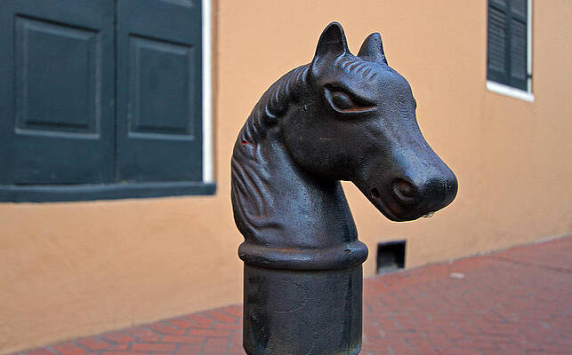 Horse Head Hitching Post Photos Fine Art America