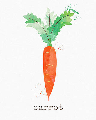Wall Art - Painting - Fresh Carrot by Linda Woods