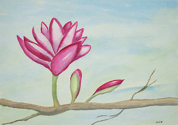 From My Window - Spring by Cynthia Schoeppel