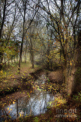 From Snow That Melted Only Yesterday by William Fields From Snow That Melted Only Yesterday by William Fields
