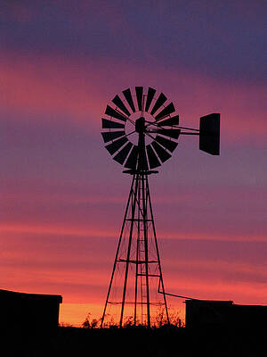 Frontier Windmill by John Annesley