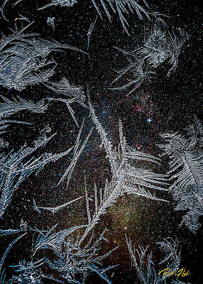 Wall Art - Photograph - Frost Against the Night Sky by Rikk Flohr