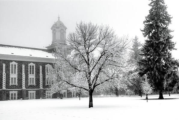 Wall Art - Photograph - Frosted Tree and the Tabernacle by David Andersen
