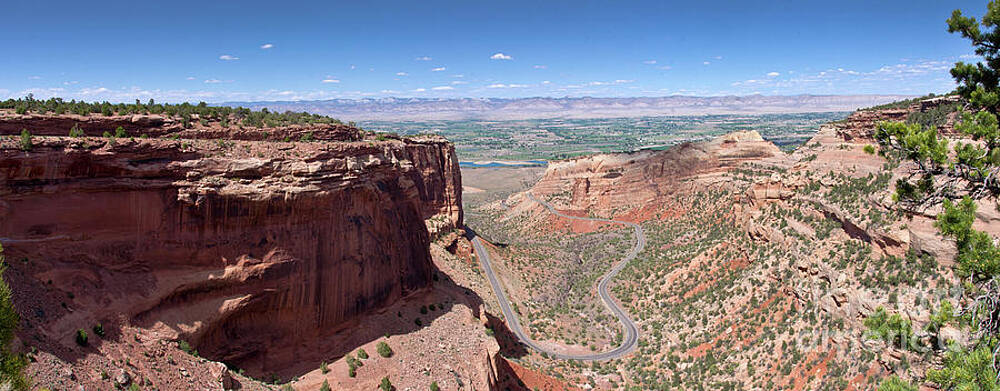 Fruita by Jeff Loh Fruita by Jeff Loh